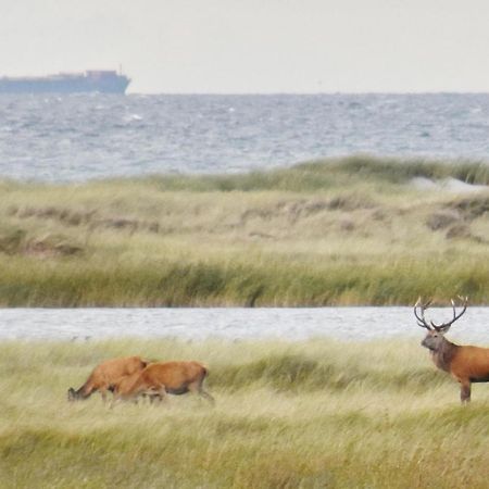 Fewo-Kramm Ostseebad Dierhagen Bagian luar foto